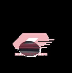 Qj Fortress 350 Far Paneli Kapağı Sol F48