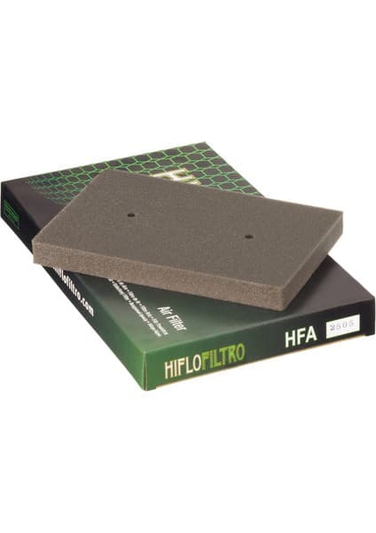 Hiflo Hıflo Hfa2505 Hava Filtresi Ex250. Ex300. Nınja300. Z300