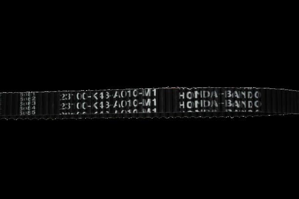 SPACY Alpha Kayış Bando