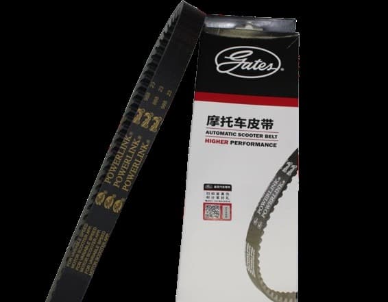 Benelli Zafferano 250 Kayış Gates