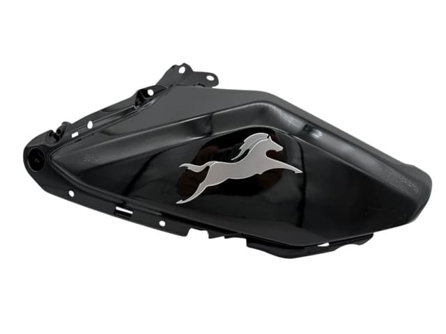 TVS Raider 125 Sağ Depo Grenajı