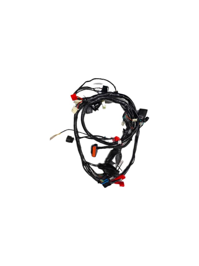 Arora BOSS125 Elektrik Tesisatı (Euro 5)