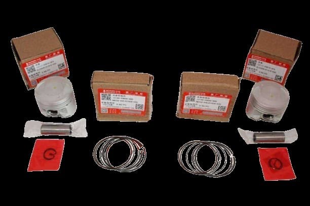 Suzukı Gsxr 250/GW İnazuma/V-STROM 250 Piston Kit