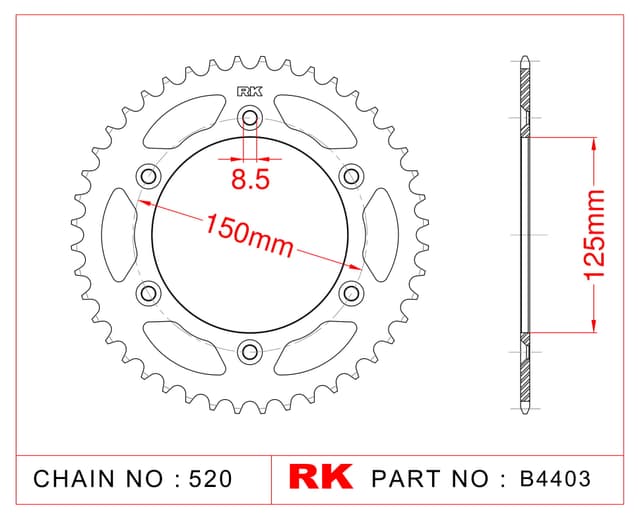 Ktm EXC 250 SIX DAYS RK Çelik Arka Dişli B4403-40