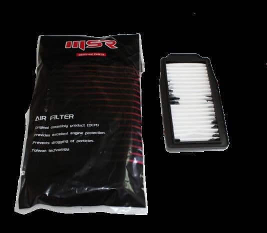 Suzukı Gsxr 250/GW İnazuma Hava Filtre (Tse)